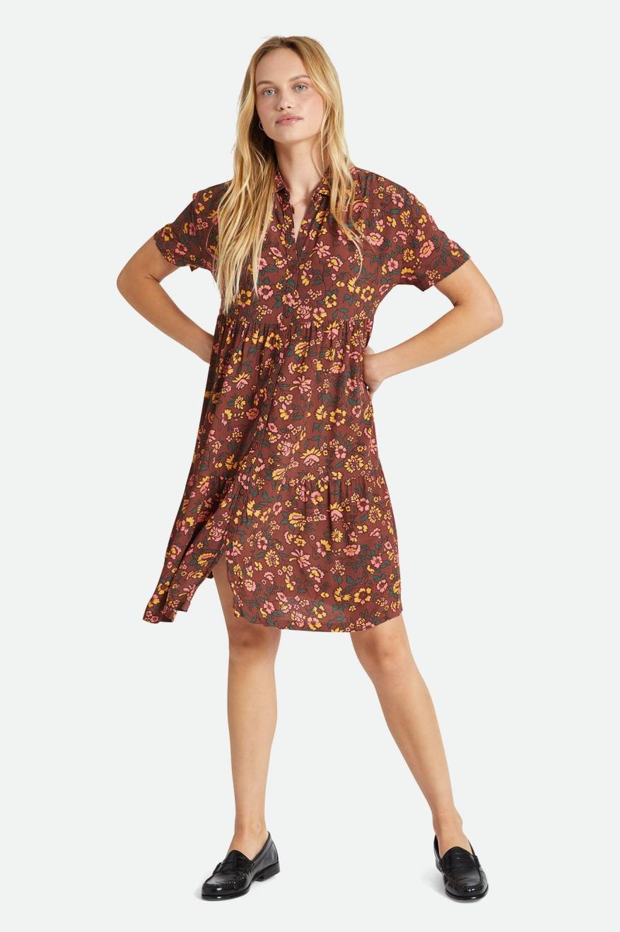 
       Brixton Beauford Dress - Rum Raisin
     