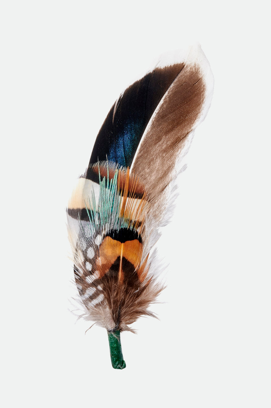 MIX BROWN Hat Feathers, Assorted Natural Feather Algeria